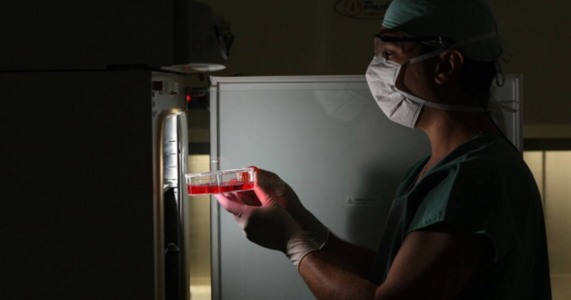 Associação Brasileira de Linfoma e Leucemia lança mobilização para doação de medula óssea