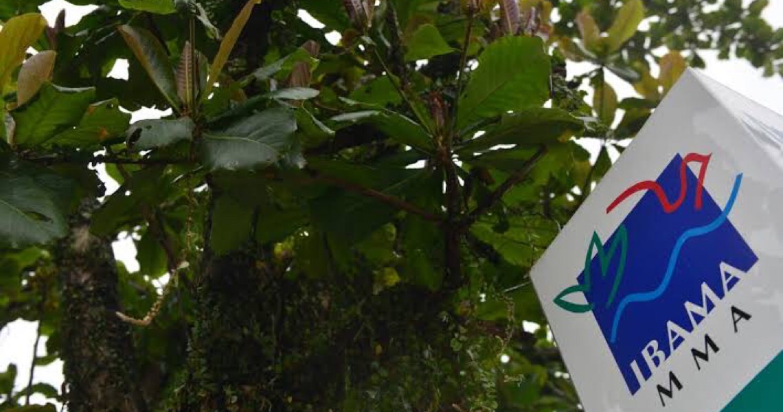 Ibama é excluído de avaliação de reservatórios de hidrelétricas para criação de peixes