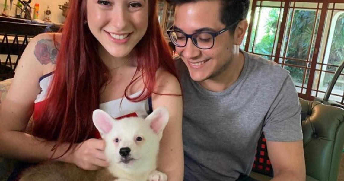 Big Brother Doguinho: tutores usam “babá eletrônica” para cuidar de pet