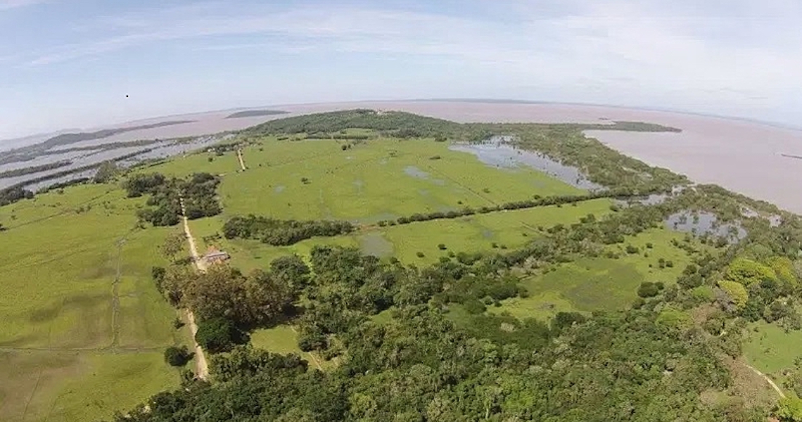 Câmara de Porto Alegre aprova medida que permite condomínio de luxo em área ambiental
