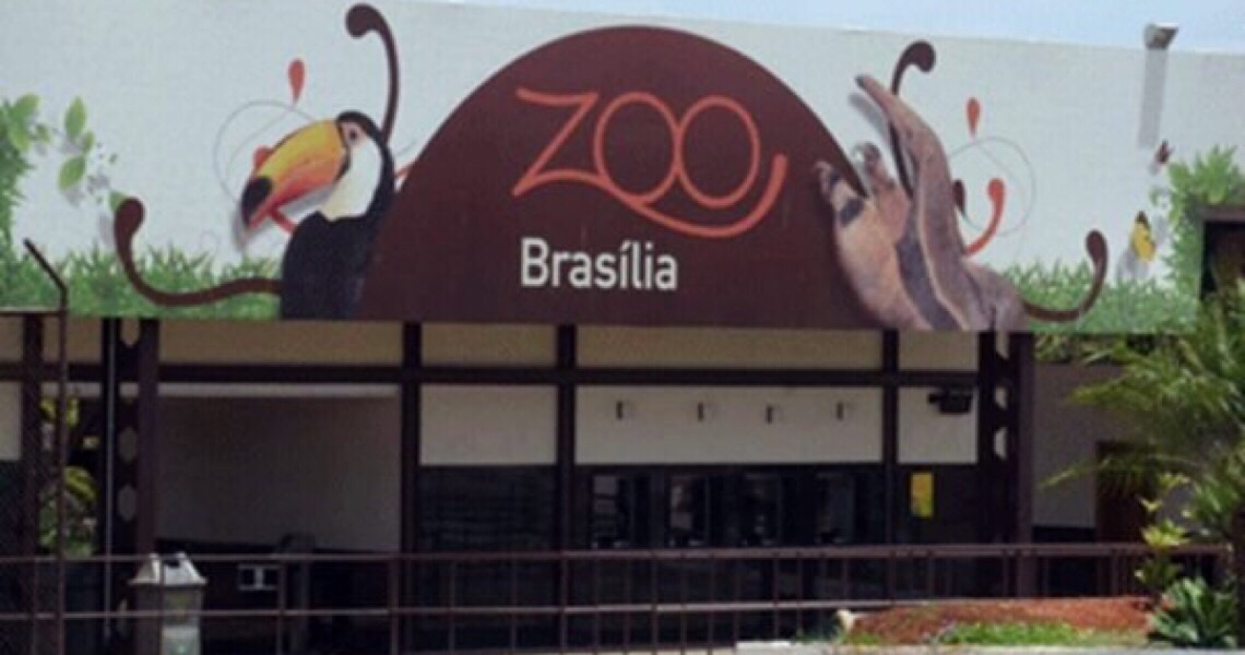Zoológico de Brasília retoma visitas guiadas mediante agendamento