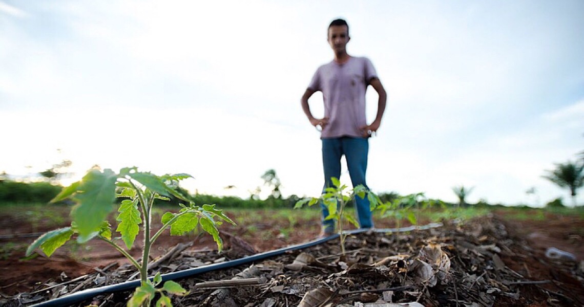 Organizações civis do DF pedem medidas voltadas à reforma agrária