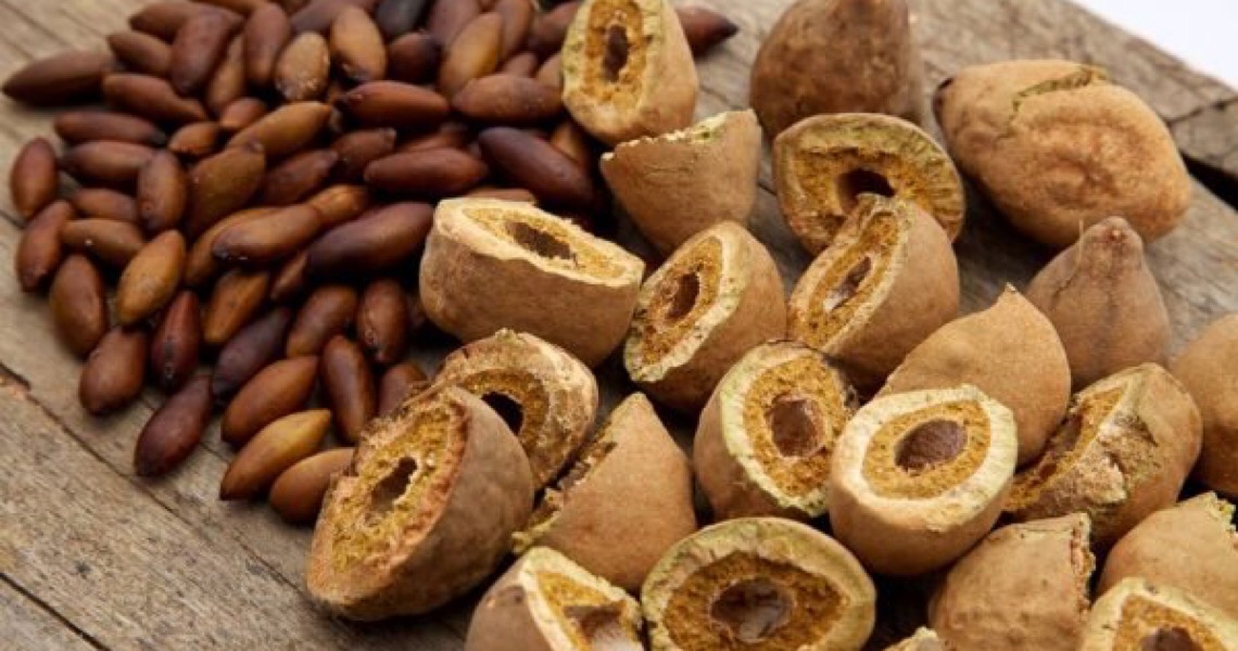 Cinco chefs de Brasília ensinam receitas com ingredientes do Cerrado