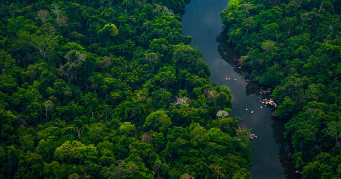 O desmatamento da Amazônia e o Sistema Cantareira