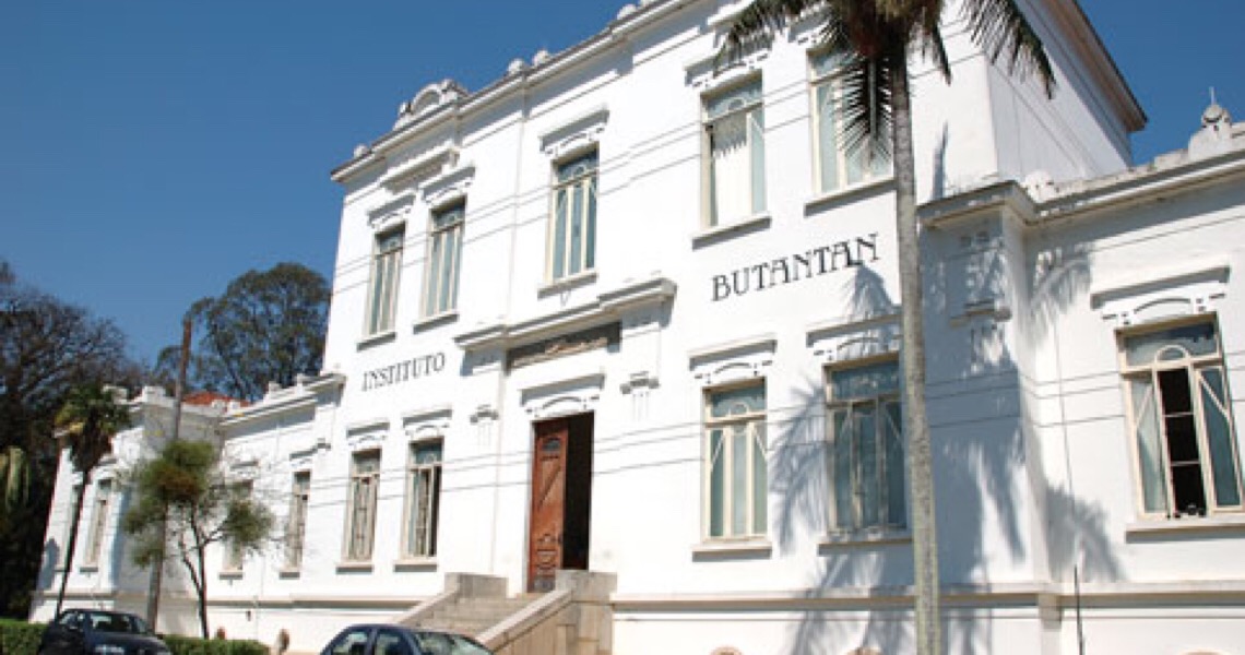 Butantan diz que vai exportar 54 milhões de doses da Coronavac se Ministério da Saúde não indicar compra