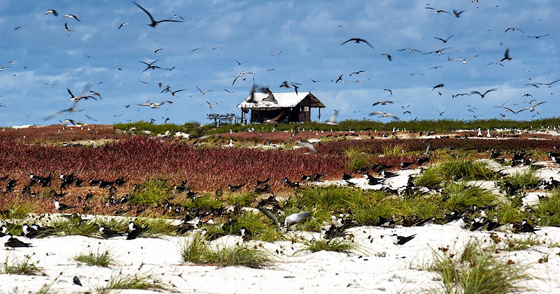 Isolado numa ilha, você viveria assim?