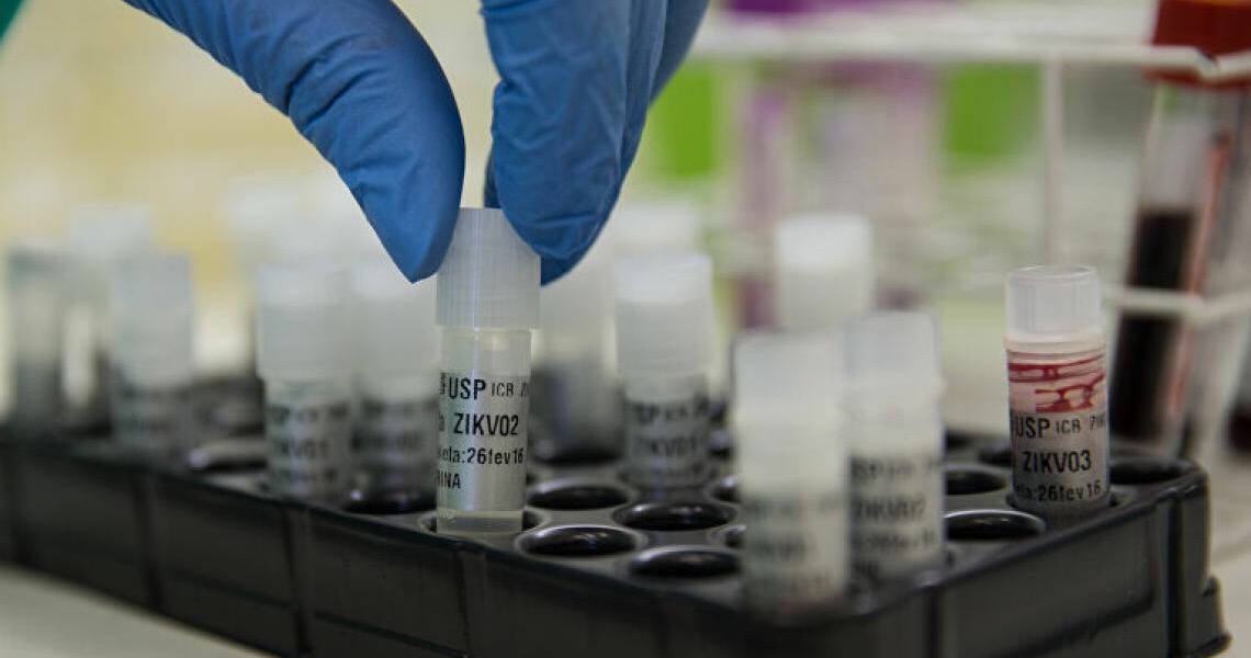 Ameaça subestimada: Quais vírus podem vir a provocar próxima pandemia?