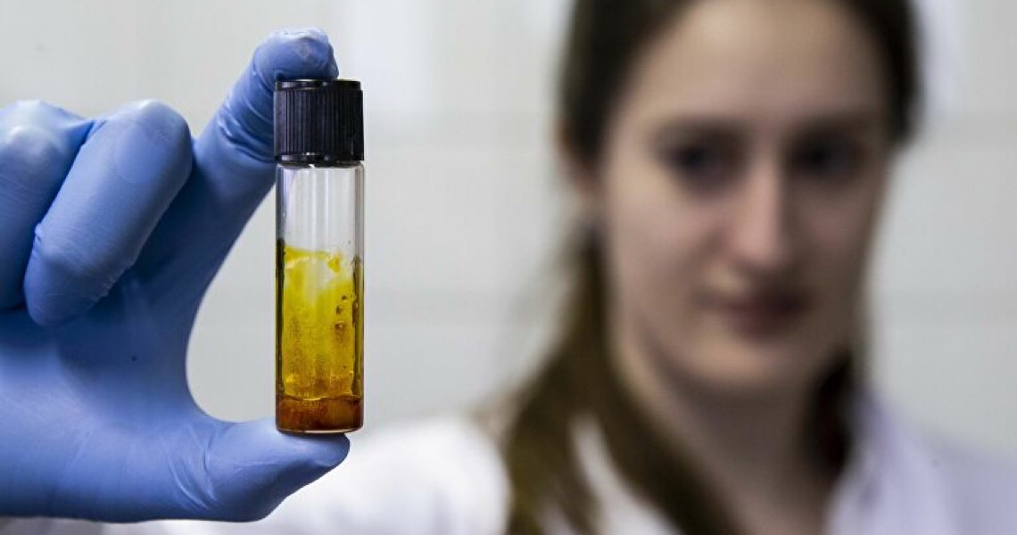 Canabidiol no SUS: Benefícios e entraves para o uso da maconha medicinal no Brasil