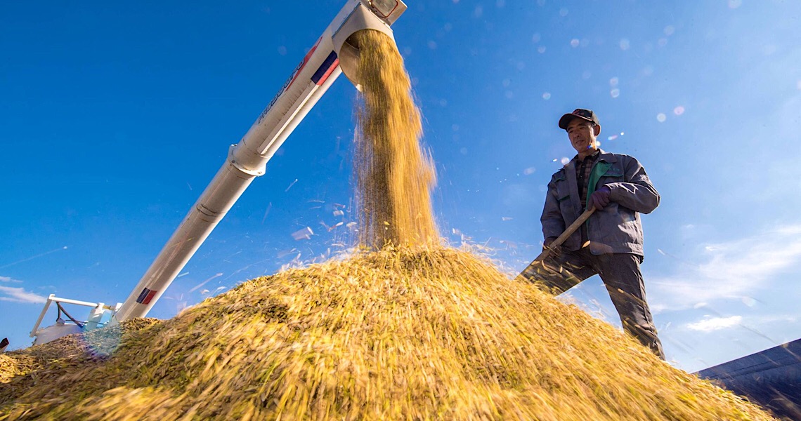 Alta das commodities ajuda a economia, o governo se acomoda e despreza a grave crise fiscal