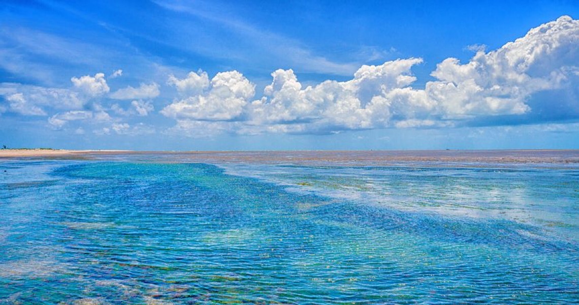 Sugestões de passeios, para ir de carro, e ao ar livre, para combater sedentarismo das crianças