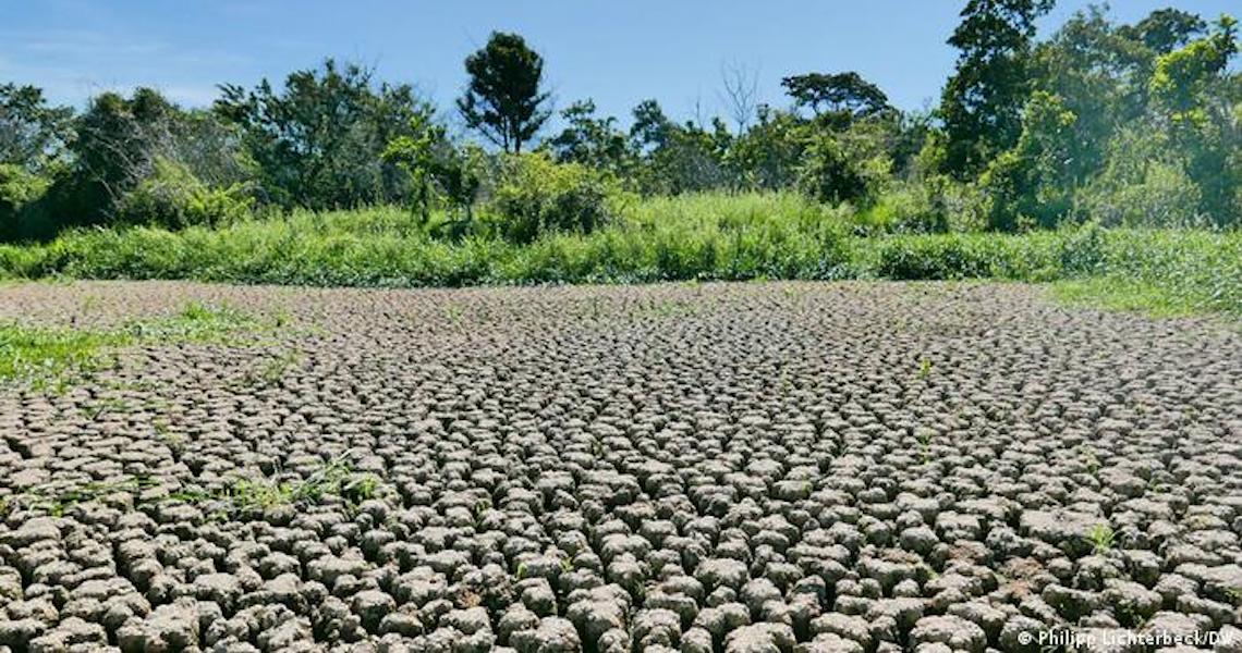 À espera da chuva, Pantanal teme nova catástrofe