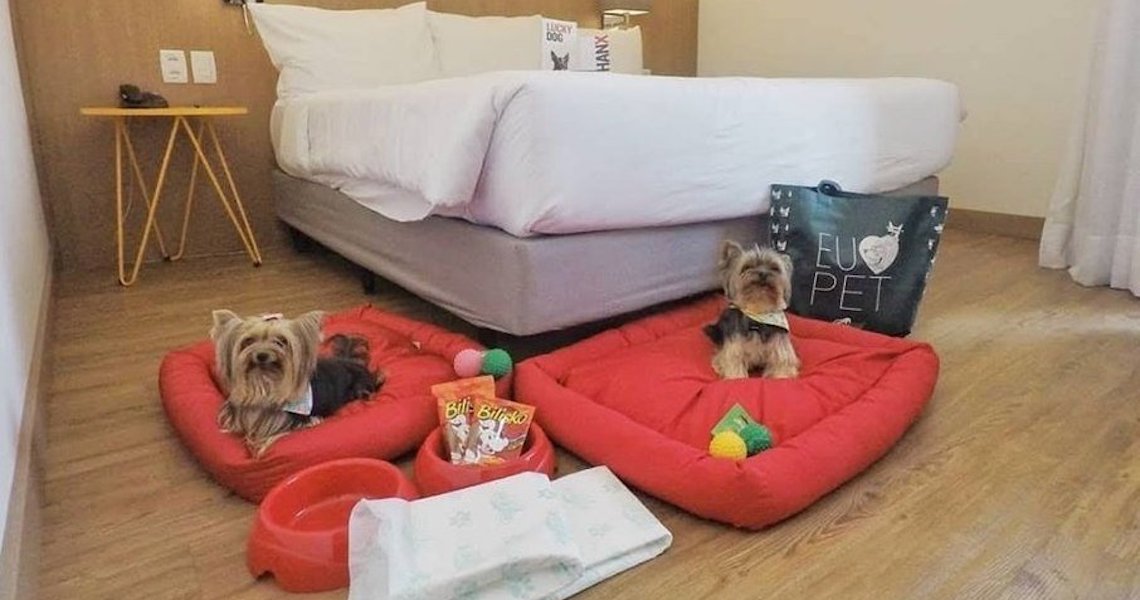 Hospedagem Pet Friendly: escolha um bom hotel para ficar com seu pet