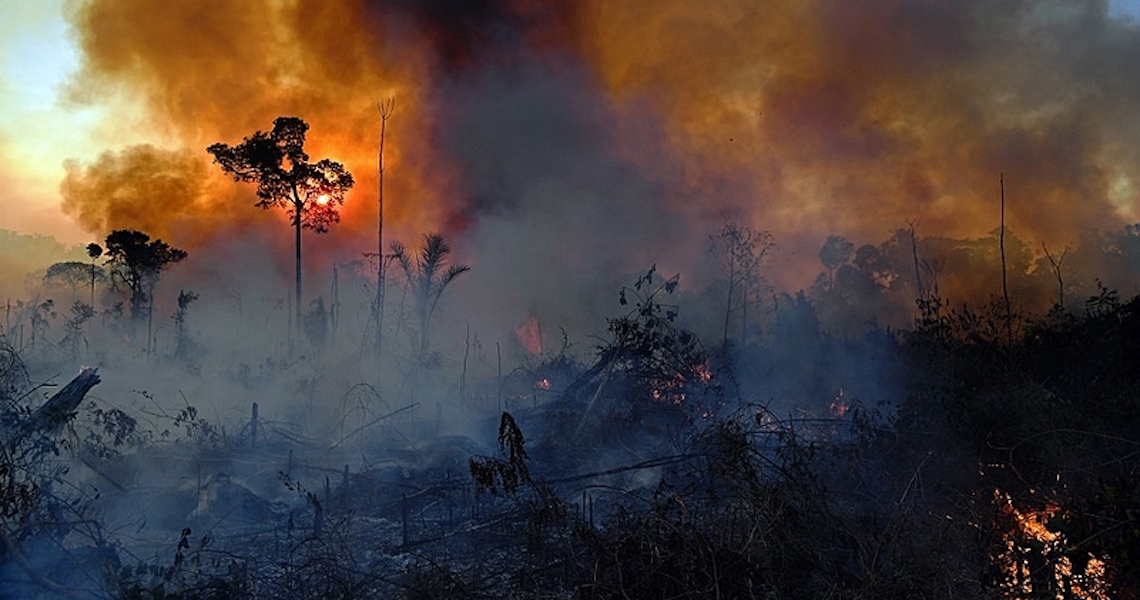 Amazônia concentra 7 dos 10 municípios que mais emitem carbono no país; veja o mapa