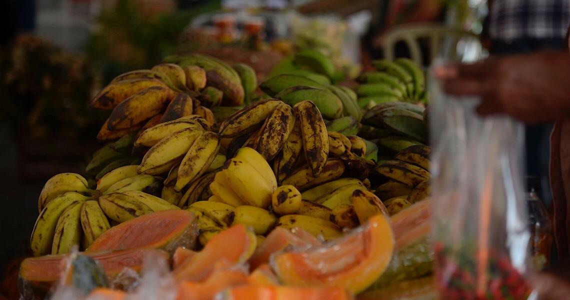 Ministério da Saúde brasileiro lança guia alimentar de bolso para menores de 2 anos