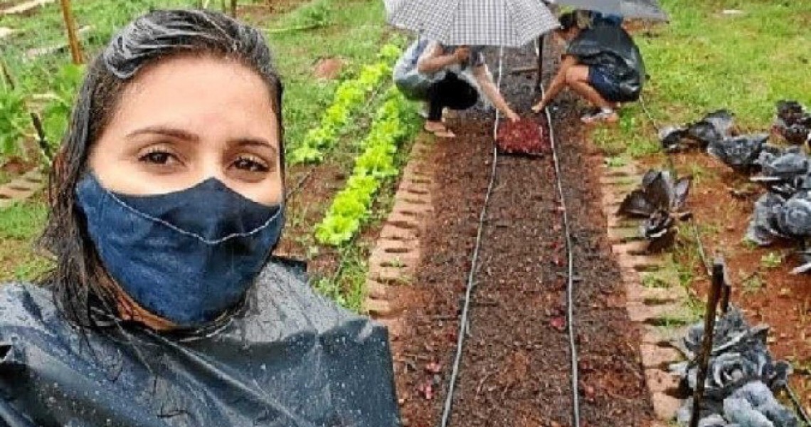 Moradores do DF contam a experiência de plantar o próprio alimento