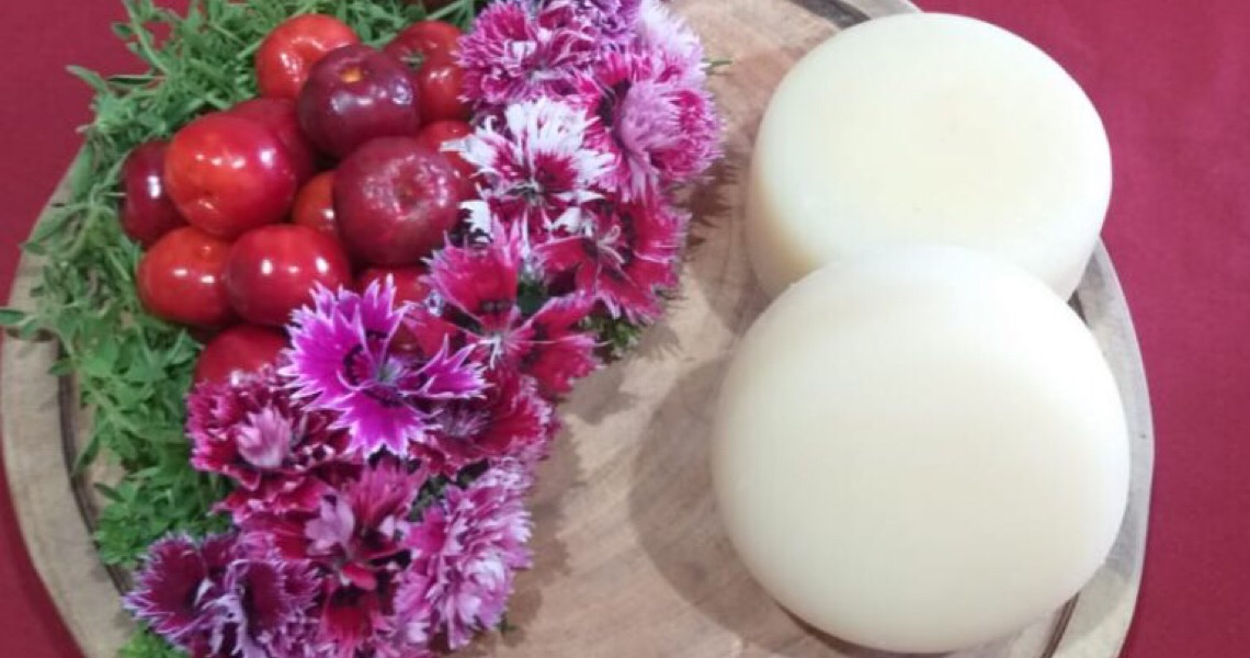 Plantas não convencionais com alto valor nutritivo
