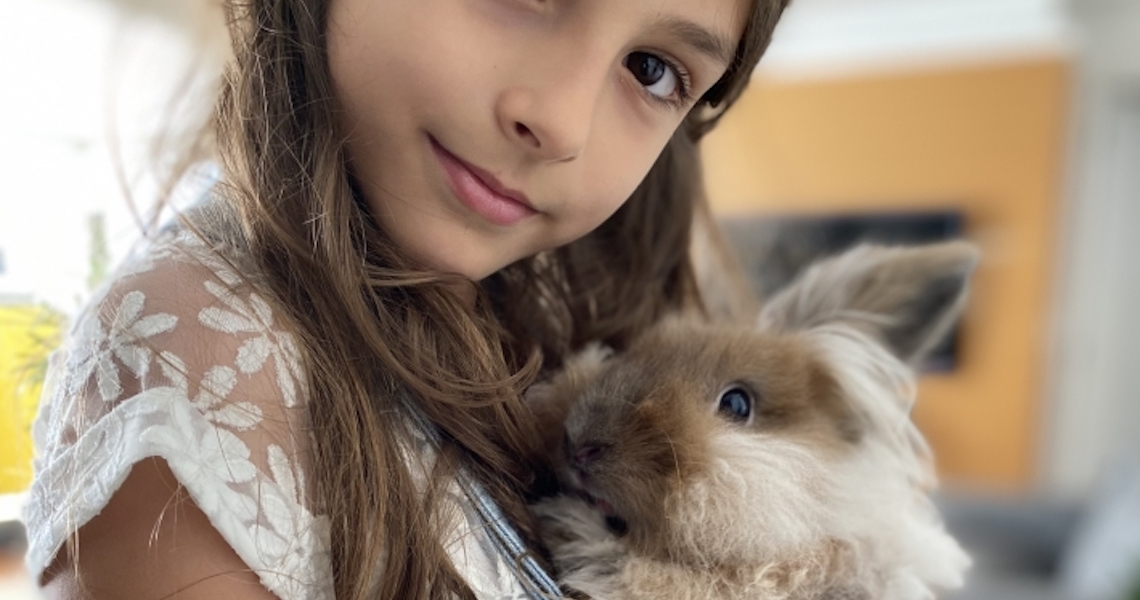 Coelho como pet: Quais os cuidados necessários?