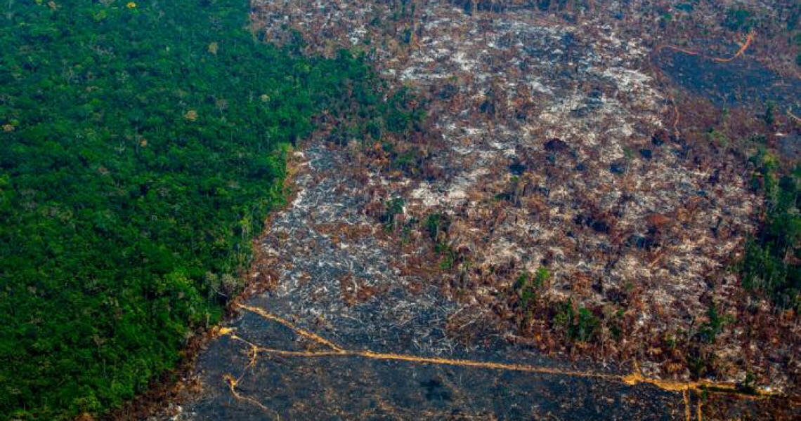 A favor da Amazônia, bancos e entidades católicas pressionam Bolsonaro