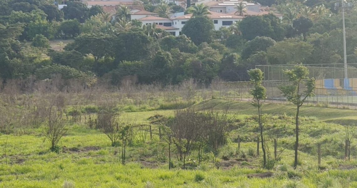 Programa vai recuperar 40 hectares na orla do Lago Norte