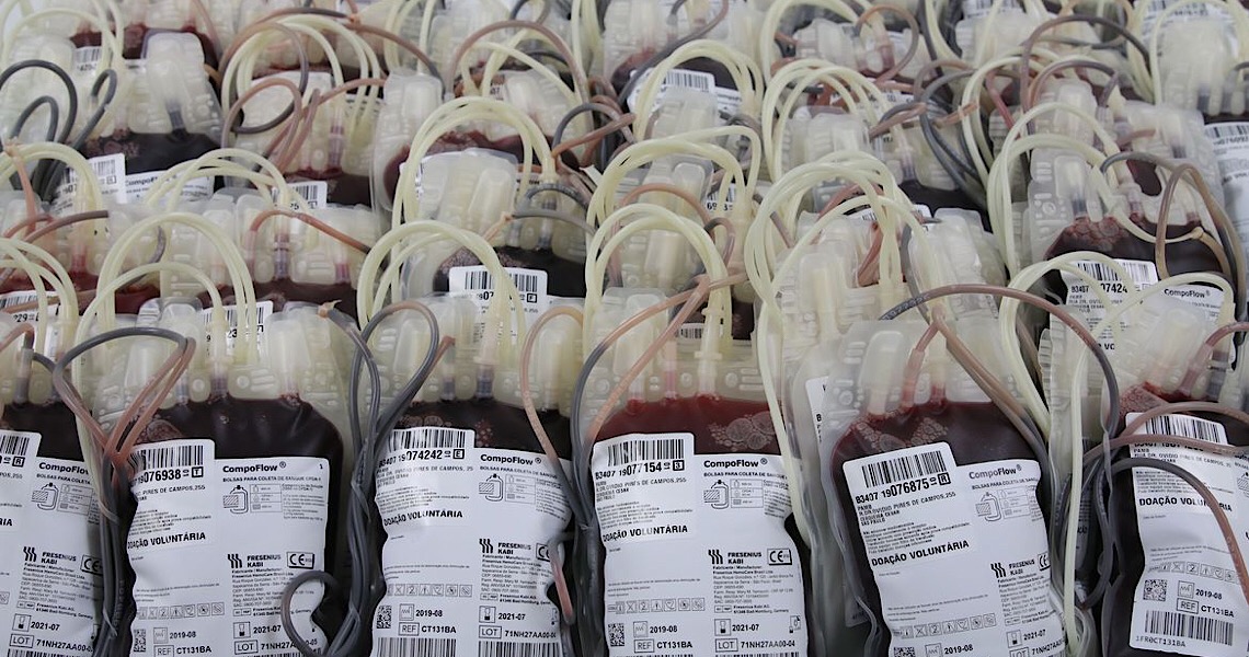 Dia Mundial da Hemofilia: Condição genética dificulta coagulação