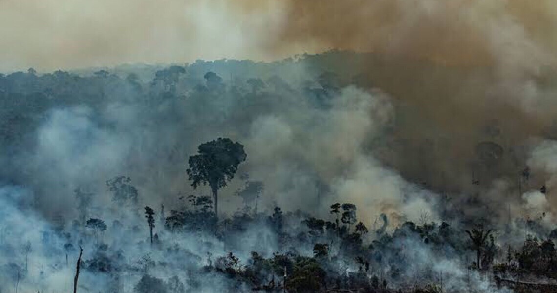 Novo IDH verde expõe hipocrisia dos países ricos