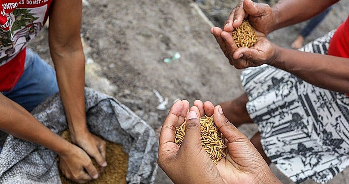 Por que o Brasil passa fome? Eventos discutem reforma agrária e soberania alimentar