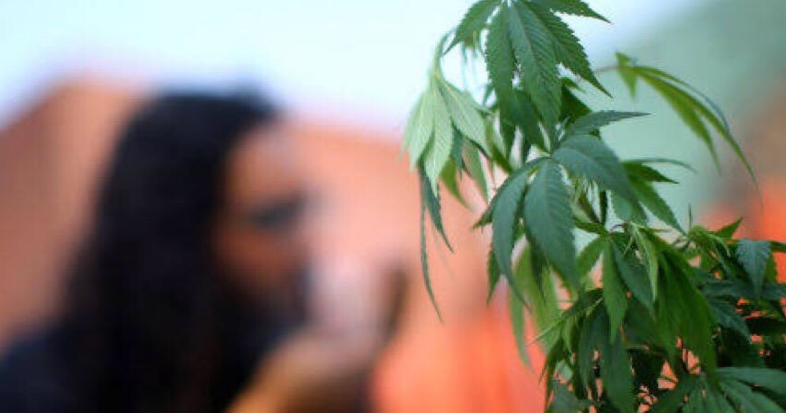 Procura por óleo de cannabis medicinal feito por ONG aumenta na pandemia