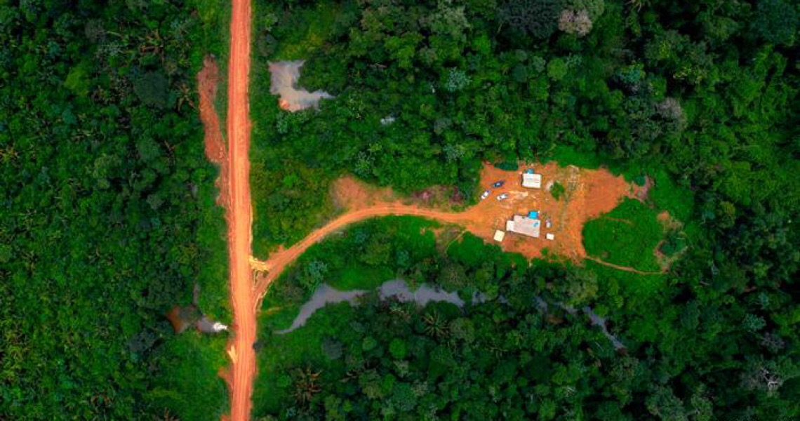 Corte de verba reforça desmonte da fiscalização ambiental no Brasil