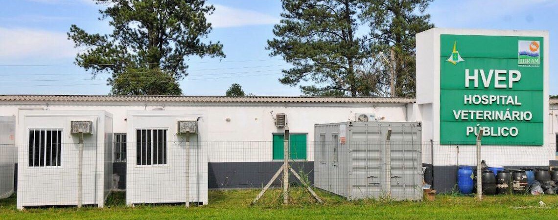 Hospital Veterinário Público do DF comemora excelência no atendimento