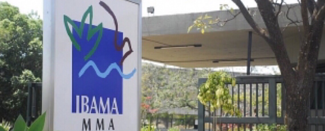 Paralisação de multas ambientais gera debandada no Ibama e ICMBio