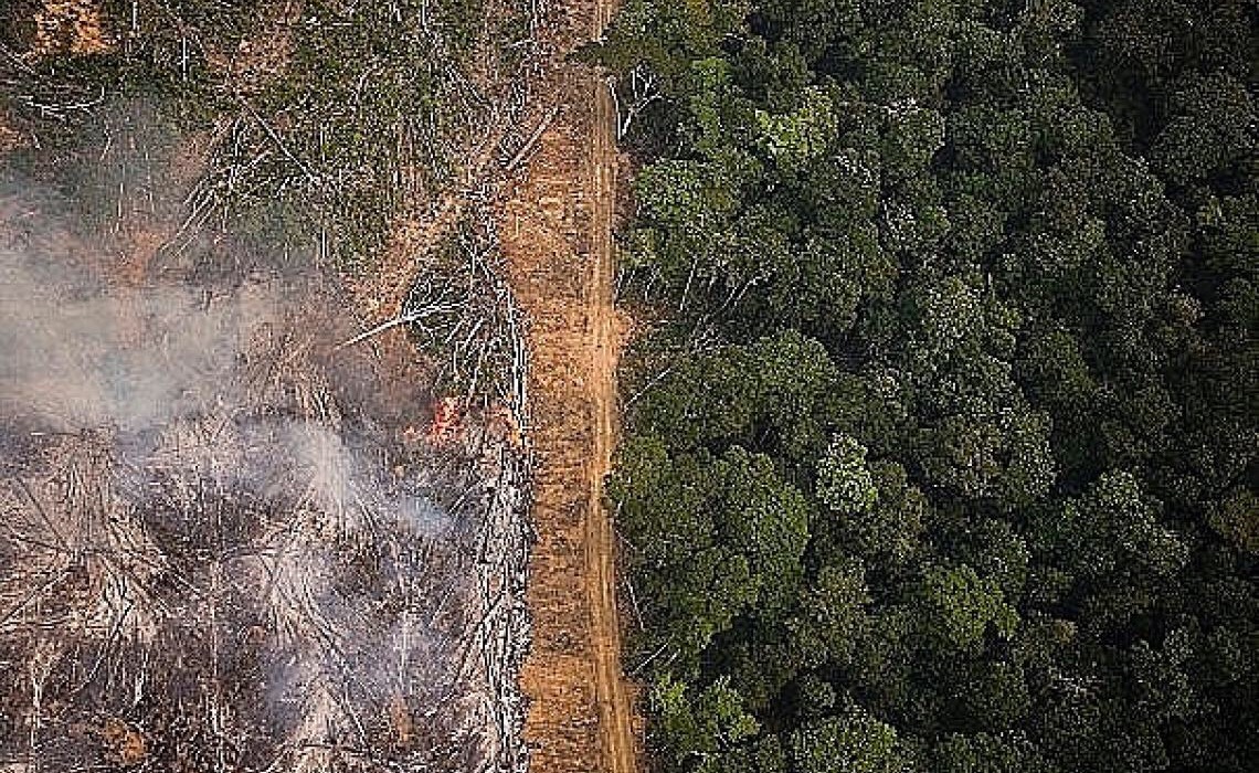 Organizações ambientais repudiam aprovação de PL do 