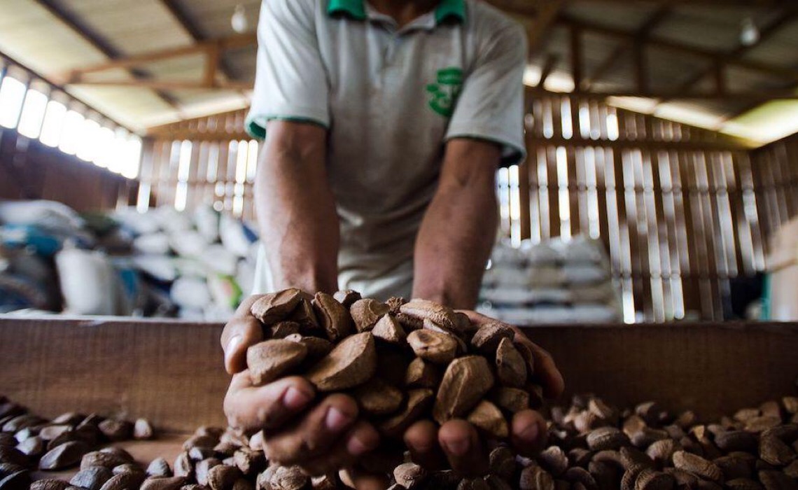 Fiocruz e Mapa mapeiam produção de plantas medicinais no Brasil