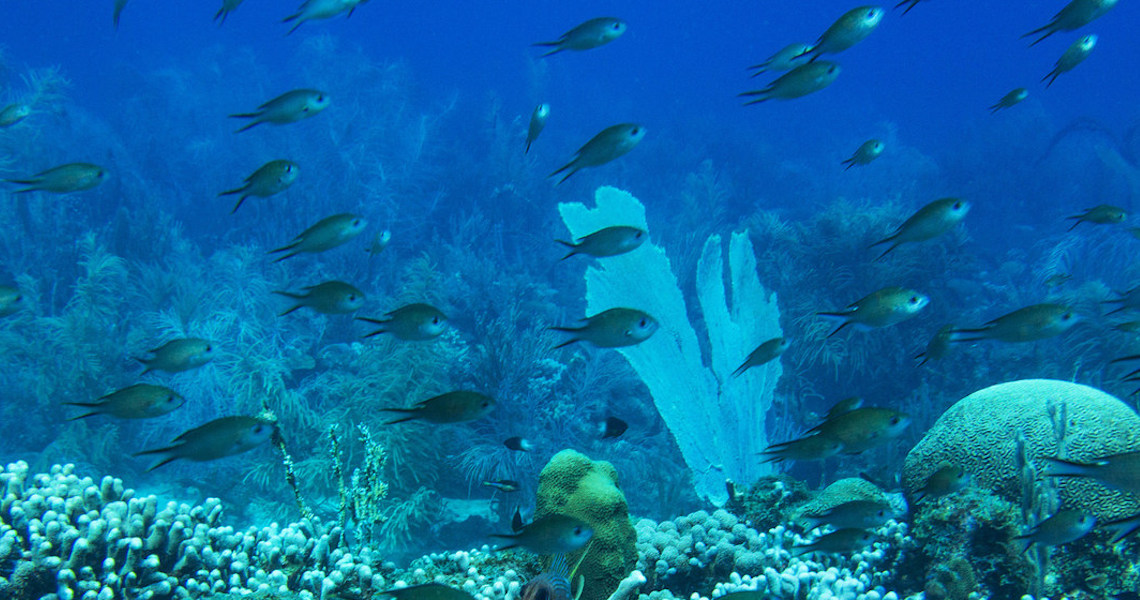 Portugal confirma Conferência dos Oceanos para junho de 2022