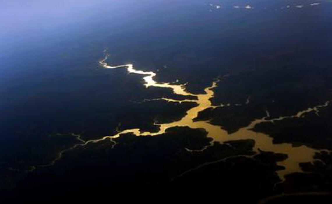 Brasil é o primeiro do mundo em potencial de descoberta de espécies