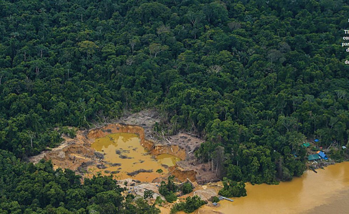Desmatamento de áreas protegidas cresce 20% na Amazônia; veja as áreas mais afetadas