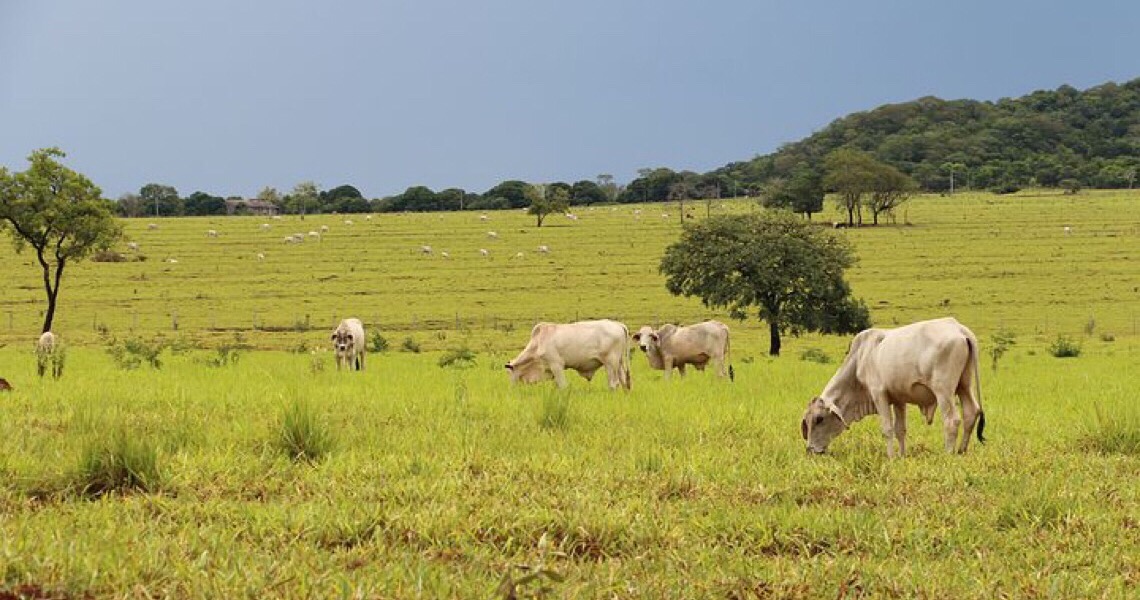 Conferência traz o tema 'O Agro brasileiro não é o vilão, é a oportunidade'