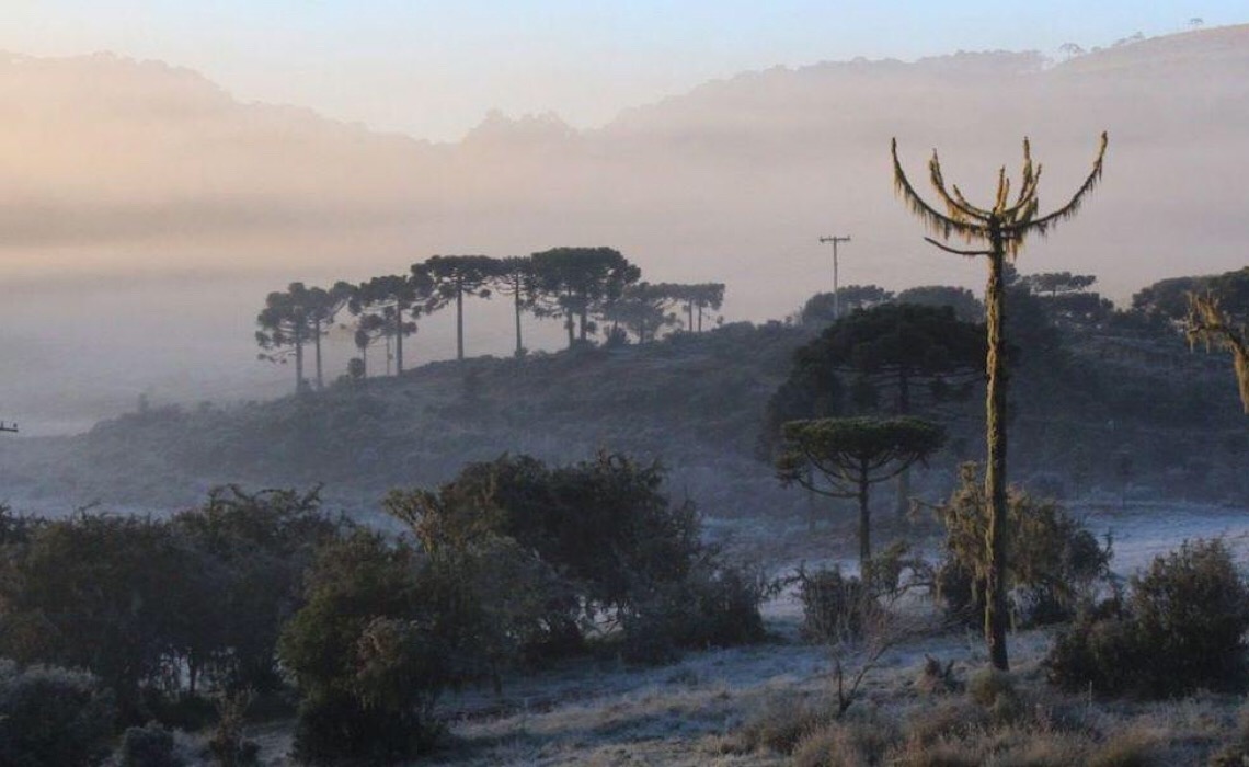 Massa de ar polar provoca frio intenso durante a semana no país