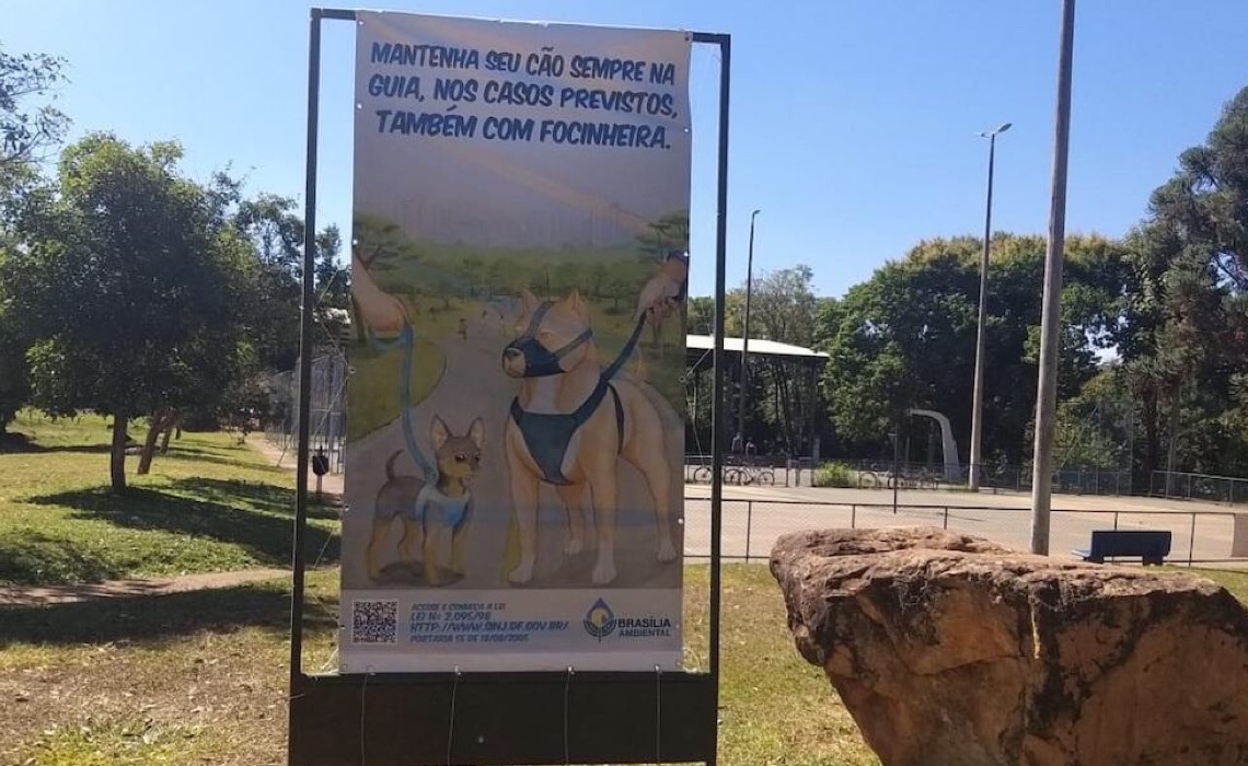Campanha incentiva condução responsável de cães