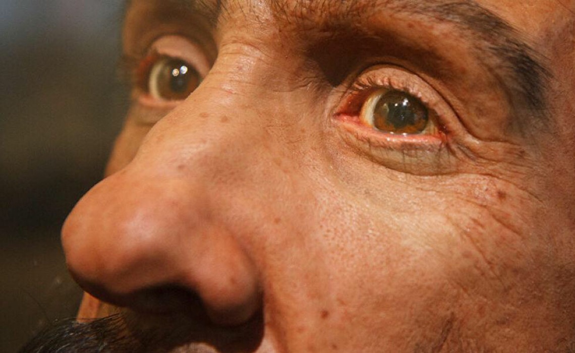 Paleontólogos encontram na Rússia DNA dos hominídeos mais antigos