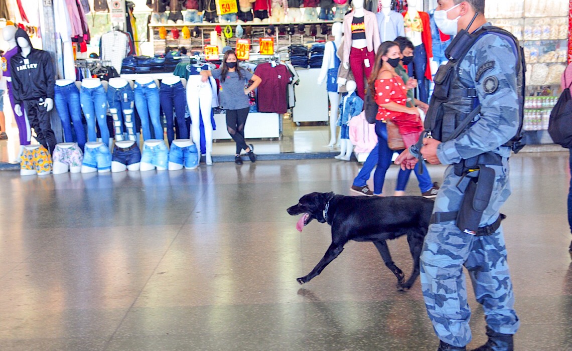 Policiamento com cães, o diferencial no combate às drogas no DF