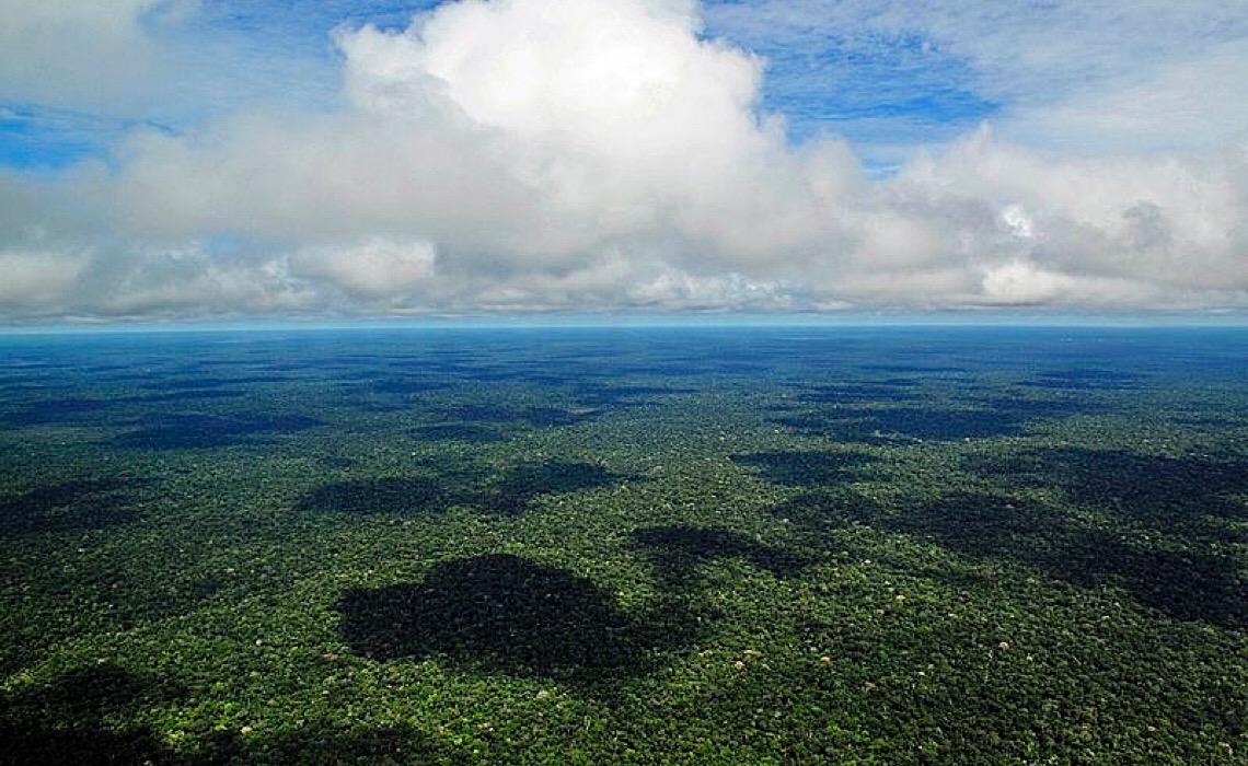 Iniciativa Amazônia 4.0 apresenta a bioeconomia como alternativa ao desmatamento