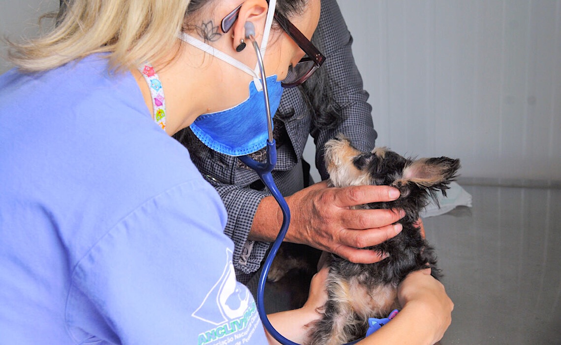 Bichinhos também recebem atenção do governo do Distrito Federal