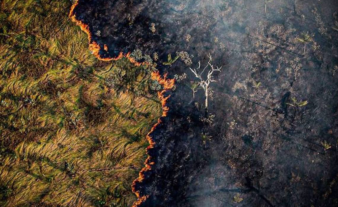Amazônia registra 2º ano com mais desmatamento desde 2015