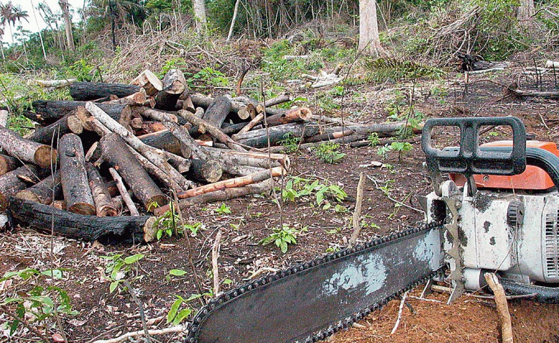 Destruição da Reserva Chico Mendes ameaça legado de preservação ambiental na Amazônia Legal