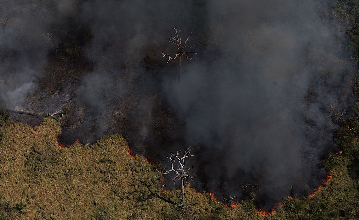 ‘Na amazônia, a realidade é pior do que disse o Instituto Nacional de Investigação Espacial