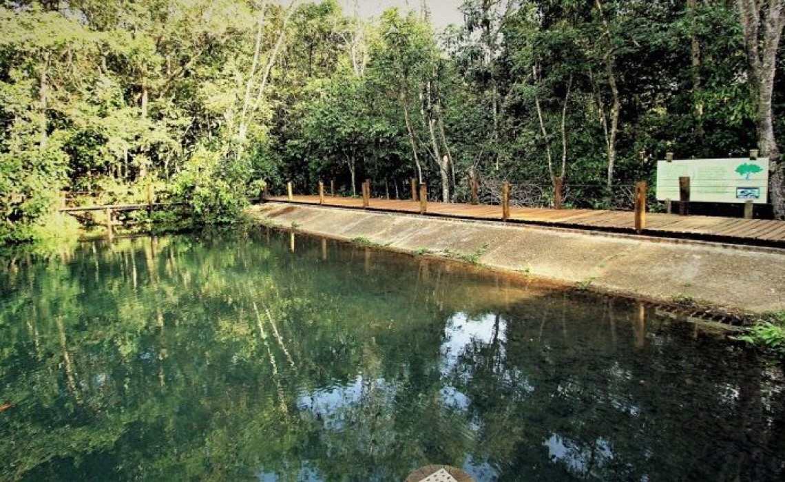 Projeto visa ampliar a arrecadação de ICMS Ecológico em Mato Grosso do Sul