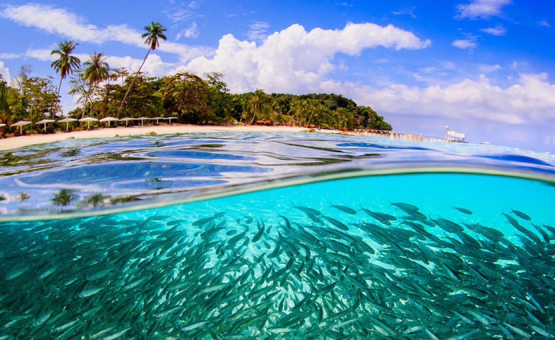 Pré-COP: Guterres diz que prioridade é declarar paz na relação com a natureza