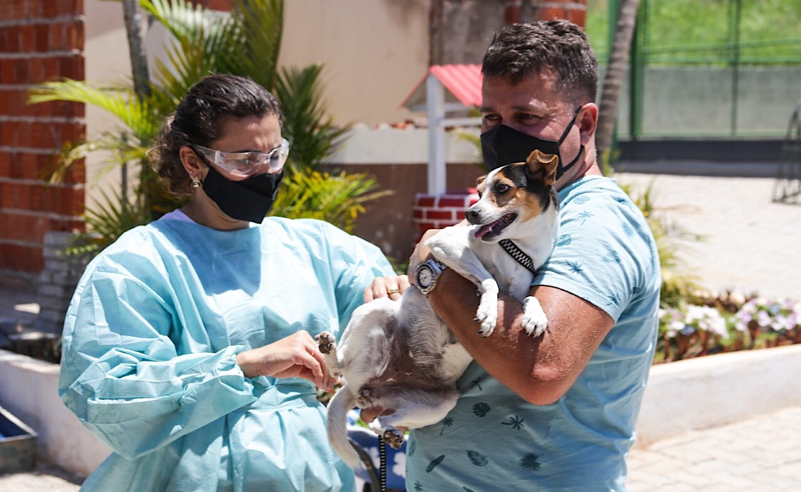 Saiba onde imunizar cães e gatos contra a raiva entre os dias 6 e 11 de setembro