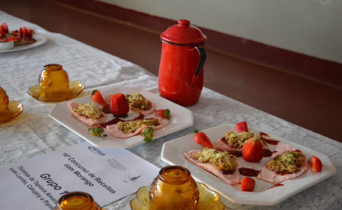 Tapioca, rocambole e bolo de morango venceram o Concurso de Receitas
