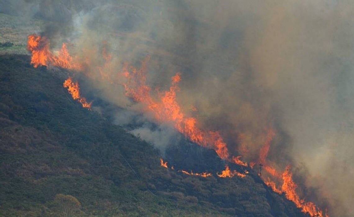 Começa neste sábado (11) curso gratuito sobre crise ambiental e capitalismo